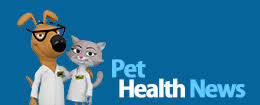 I always get great deals with petmeds.com and do not use 1800petmeds! Pet Meds News Your Source For Pet Health Related News And Tips