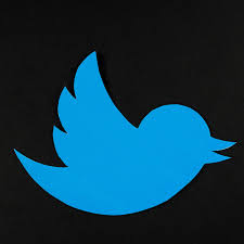 Although twitter claims they don't shadow ban users, this is only strictly true if you adhere to their technically speaking, twitter doesn't do this. Twitter Is Deleting Trump S Attempts To Circumvent Ban The Verge