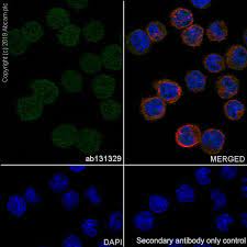 Water safety, flow control, backflow prevention, drainage. Recombinant Anti Nme2 Antibody Epr8351 Bsa And Azide Free Ab248409 Abcam