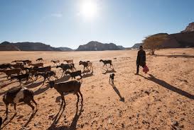The worst of these occurred in 1995, when a storm and high winds caused flash floods that killed five people near jiddah. Redrawing The Map How The World S Climate Zones Are Shifting Yale E360