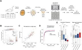 single cell rna sequencing resolves self antigen expression