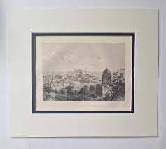 View of Delhi from the Palace Gate - 1859 Engraving by Indian Mutiny: Very Good Softcover (1859) 1859. | Maynard & Bradley