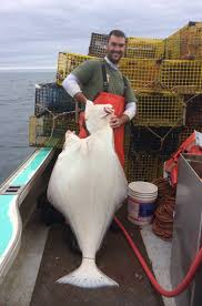 Welcome to Fishermen's Voice