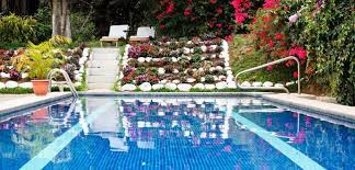 Check spelling or type a new query. 10 Pointers On Picking Perfect Poolside Plants Pool Pricer