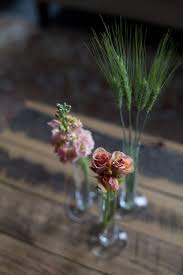 Top keywords % of search traffic. Tips On Taking Better Flower Photos Floret Flowers