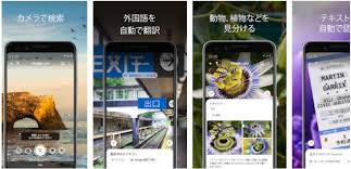 Googleレンズで植物の名前が簡単にわかります ブーさんとキリンの生活