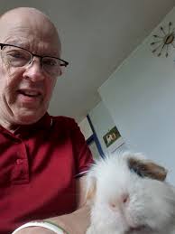 Hi, so I have gone for the bathmat approach, my cage has a sheltered part  where the guinea pigs seem to sleep so I have been putting carefresh and  hay in there