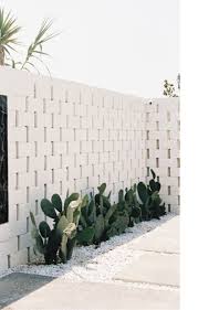 Podes Usar Cactus Y Piedritas Blancas En Lugar De Todo Pasto Jardines Paisaje De Desierto Decoracion De Patio
