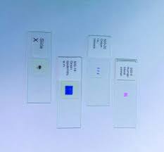 Check spelling or type a new query. United Scientific Supplies 100 182 Lily Meiosis First Meiotic Division Plant Cell Meiosis Prepared Microscope Slide Amazon Com Industrial Scientific