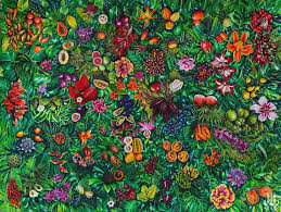 Image result for Strophanthus welwitschii