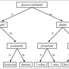 Non rientrano nelle afasie quindi i disturbi del linguaggio causati da deficit sensoriali primari, da deficit intellettivi. Algoritmo Para La Clasificacion Clinica De Las Afasias Download Scientific Diagram