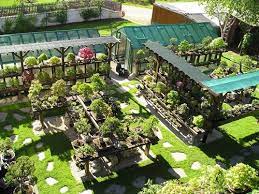 Back Yard Bonsai Displays Wolfgang Putz Bonsai Bark Bonsai Garden Bonsai Bonsai Nursery