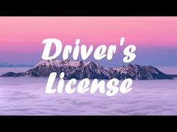 Given someone's driver's license number from one of these states, you can take good guesses at someone's name and exactly determine their gender and date of birth. Olivia Rodrigo Drivers License Lyrics Clean Youtube