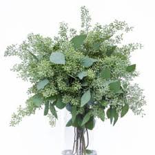 She was born on september 15, 1948 in wilmington, nc to the late ivon eldridge fergus and virginia mcfadyen fergus. Wholesale Florist Diy Wedding Flowers Charlotte Flower Market