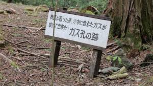 Aokigahara Forest - by Pete Kelly - History Time Newsletter
