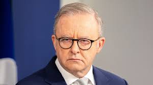 Teal MP Monique Ryan accused of shouting at 'children' in alleged campaign  spat