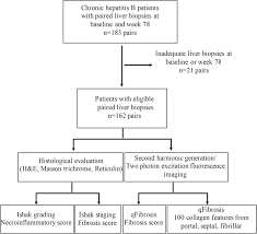 Flow Chart Of Assessment Of Fibrosis Regression In Paired