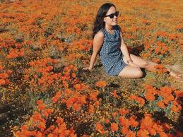 Funeral orange county california making funerals affordable affordable funeral services for orange county and southern california. Fieldnotes From Catie Fieldtrip To The California Poppy Fields