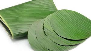 Warnanya yang terlihat begitu nyata sering membuat orang mengira kalau tanaman palem merah atau kuning ini adalah hasil cat tangan. Selain Pembungkus Makanan Inilah Manfaat Daun Pisang Bisa Untuk Jaga Kesehatan Kulit Dan Rambut Tribun Bali