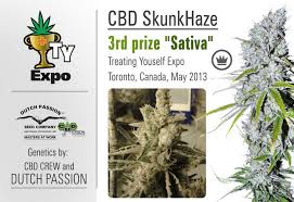 Rumor has it that northern lights first sprouted near seattle, washington, but was propagated out of holland. Cbd Skunk Haze Dutch Passion 3 Feminisierte Samen 1000seeds