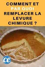 Comment Et Par Quoi Remplacer La Levure Chimique Trucs Et Astuces Cuisine Levure Chimique Levure