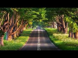 ขายที่ดินสวยๆติดถนนใหญ่ ใกล้แหล่งชุมชน ใกล้ มรภ ชัยภูมิ อ.เมือง ต.นาฝาย จ.ชัยภูมิ ราคา 3 ล. Relax Song Best View Beautyfull Pictures à¸ à¸²à¸žà¸–à¸™à¸™à¸ªà¸§à¸¢à¹† à¸ à¸²à¸žà¸˜à¸£à¸£à¸¡à¸Šà¸²à¸• à¸ à¸²à¸žà¸§ à¸§ Youtube