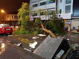 Angin kencang dan hujan lebat menyebabkan pulau pinang dilanda banjir sejak pukul 2 petang semalam. Berita Harian On Twitter Pokok Tumbang Di Jalan Penang Akibat Hujan Lebat Yang Turut Menyebabkan Banjir Kilat Di Sekitar Pulau Pinang Foto Mikail Ong Https T Co D0sljkwgll