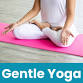 Gentle Yoga and Stretching event image