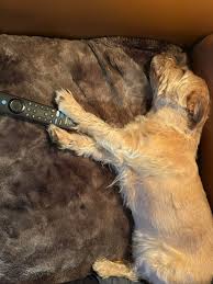 Lee Fogle (@leefogle) • Instagram photos and videos