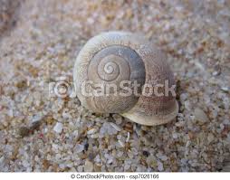 Caracol maya site is a very impressive site. Casca Caracol Casca De Caracol Na Praia Canstock