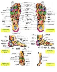 Pin By Doctor Coppelius On Feet Foot Massage Massage