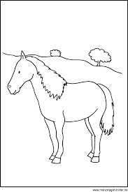 Pferde Bild Zum Ausdrucken Und Ausmalen