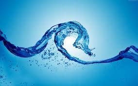 Image result for water signs
