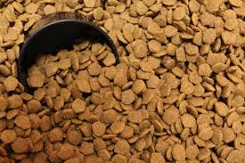 Maybe you would like to learn more about one of these? Fromm Dog Food Reviews Ingredients Recall History And Our Rating