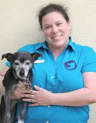 Maybe you would like to learn more about one of these? Staff Davis Animal Hospital Veterinarian Pensacola