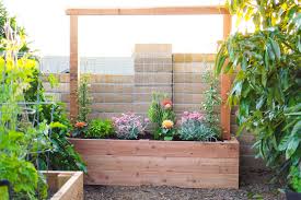 Create a living privacy screen like this one that features a simple planter and trellis planter made with bamboo. Building A Raised Planter Bed With A Trellis Diy Dalla Vita
