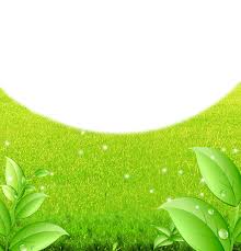 Background Grama Png Com Fundo Transparente Gratis No matter what background your photo currently has just pick your original image and the background of your choice and get the result just seconds later. background grama png com fundo