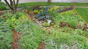 Irises produce huge flowers in a rainbow of colors that always lift my spirit. Edible Landscaping Ideas For Front Yard Sunset Magazine