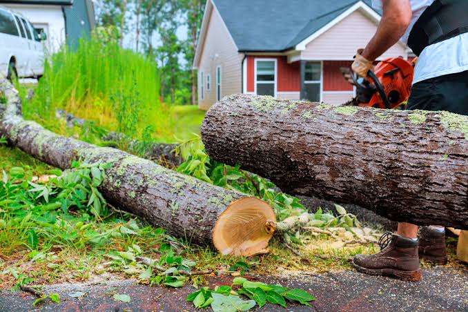 Tree cutting for villas and gated communities in Hyderabad