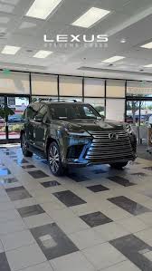 Image result for Nori Green 2025 LZ