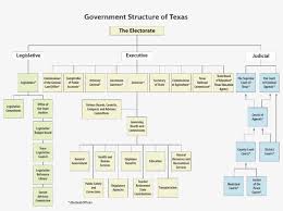 Image Result For Texas State Government Organizational