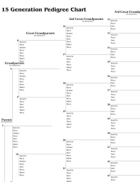 15 generation pedigree chart 10 pack