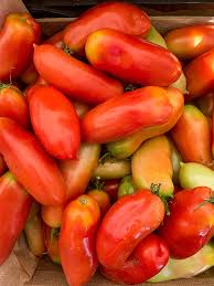 Image result for tomato Piccadilly