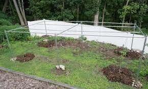 (2/19/11) oklahoma gardenings kim rebek walks us throught building the more substantial trellises required for the heavy vines of plants like hardy kiwi and passion fruit vines. Hardy Kiwi Growers What Do You Use For A Trellis General Fruit Growing Growing Fruit