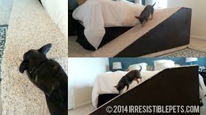 Dog ramps appear a suitable solution but require an enormous amount of investment. Diy Dog Ramp Irresistible Pets