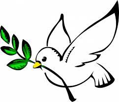 Paz Y Amor Mundial Facebook