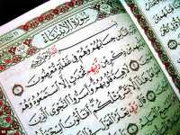 Untuk membuat kalimat bahasa arab silahkan anda gunakan metode yang paling cocok untuk anda anda bisa menayambungkan satu. Keutamaan Kalimat Laa Ilaha Illallah Rumaysho Com