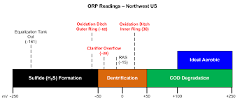 Orp