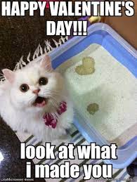 75 Funny Valentine Memes To Get You Through V Day Sayingimages Com If there's one thing that everyone can agree on though, it's that valentine's day memes are downright hilarious (oh, and the fact that there's nothing better than.