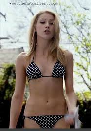 Heard continued her career with roles in films such as the informers (2008), the stepfather (2009), zombieland (2009), and the joneses (2009). Amber Heard Picture Gallery The Nut Gallery Review